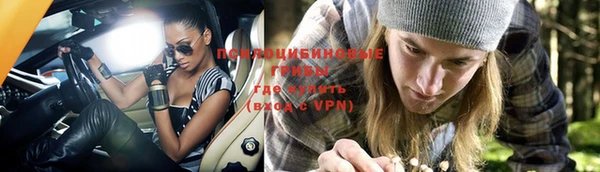 шишки Козельск