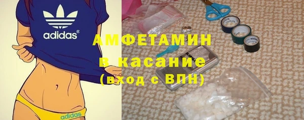 шишки Козельск