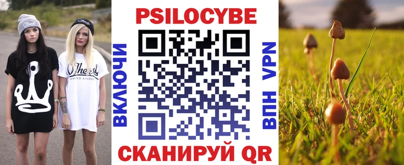 Галлюциногенные грибы Psilocybe  Купить  Арск 